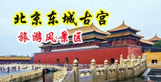 杨幂的小浪屄中国北京-东城古宫旅游风景区